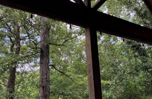 Jones Mills House | Cabin on the Cove overlooking Lake Catherine