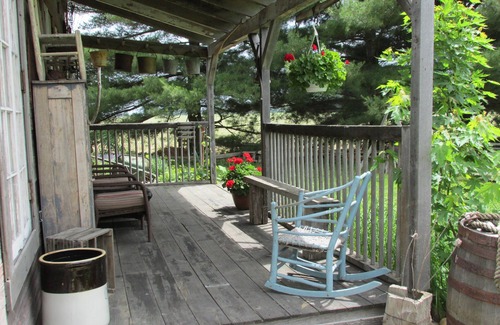 Bellevue Cabin | Cabin rental near Cedar Point, Lake Erie, with Hot Tub, Campfire Pit, Gas Grill