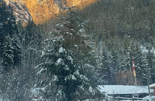 Lumby Cabin | Cabin Rentals at Guest Lodge in North Okanagan