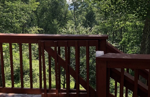Mainesburg Cabin | Cabin with a View - Hammond Lake view, tucked away in the mountains