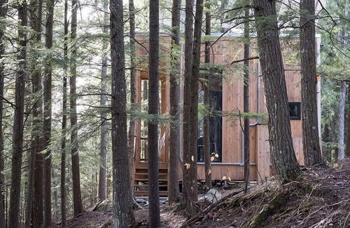 Eastman Cabin | Cabin Zoobox 66 Summa