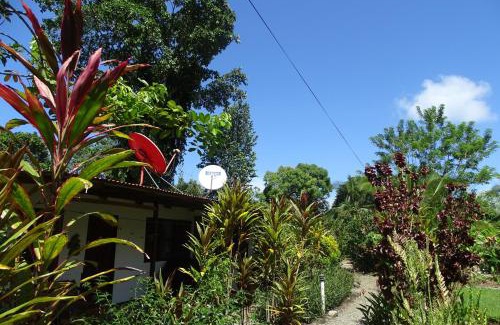 Cahuita Cabin | Cabinas Los Tucanes