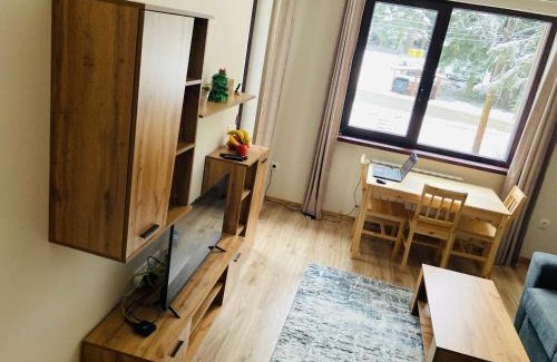 Borovets Apartment | Cactus Apartment