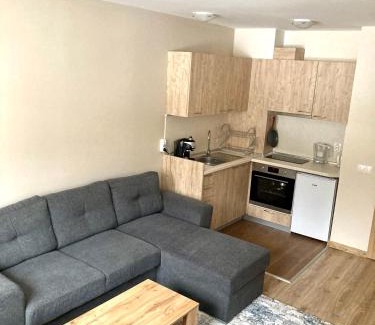 Borovets Apartment | Cactus Apartment