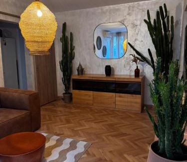 Sector 2 Apartment | Cactus Apartment Boho Comfort