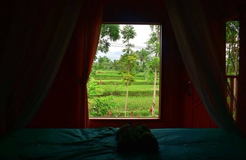 Kecamatan Pringgasela Bed & Breakfast | Cahaya Tetebatu Inn