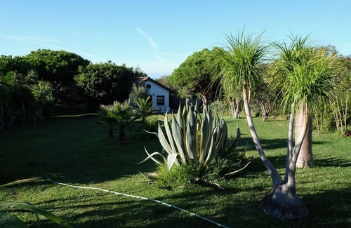 Los Canos de Meca House | Calma Azul: siente la tranquilidad - feel the tranquility