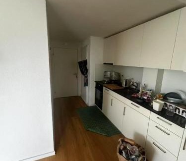 Bad Zurzach Apartment | Calme appt