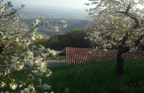 Calvene Cabin | CalVenere