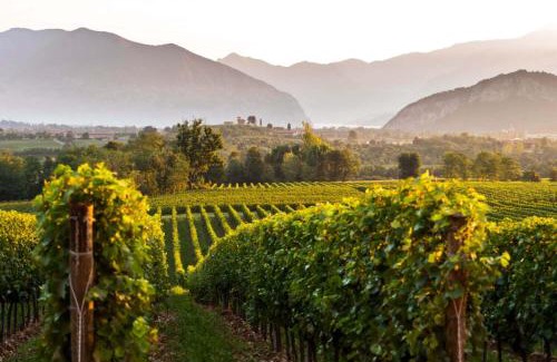 Ome Apartment | CalYpso 1 - Franciacorta Love