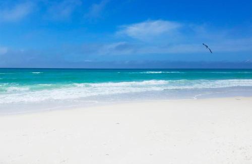Panama City Beach House | Calypso 3-406 - Paradise by the Pier