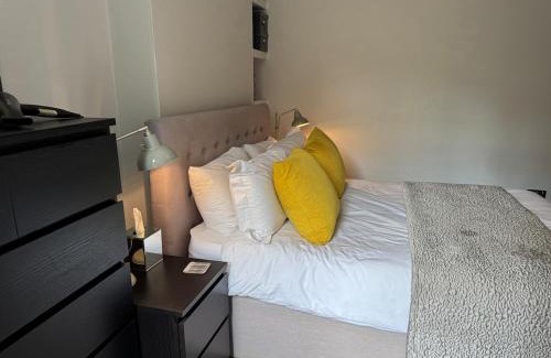 St. Pancras and Somers Town Apartment | Camden Victorian garden flat
