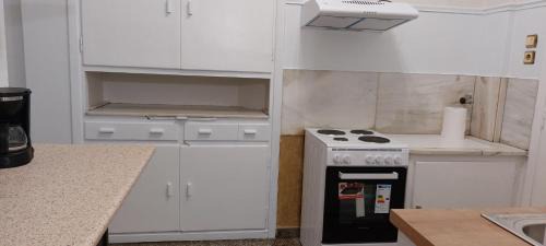 Kypseli Apartment | Camellia Apartment ATHENS CENTER 5BD, 2 BATHS