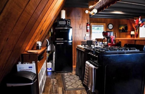 Brinnon Cabin | Camp Duckabush: Scenic Hood Canal A-Frame, inc: private yard, WIFI, Pet-Friendly
