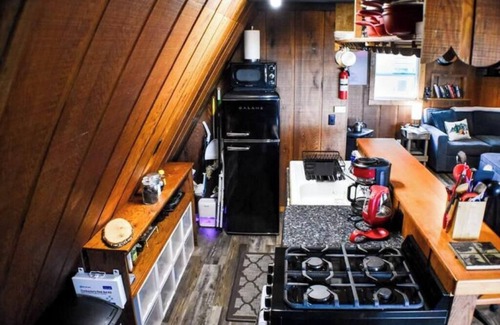 Brinnon Cabin | Camp Duckabush: Scenic Hood Canal A-Frame, inc: private yard, WIFI, Pet-Friendly