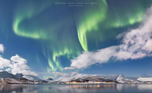 Botnhamn Other | Camp Fjordbotn