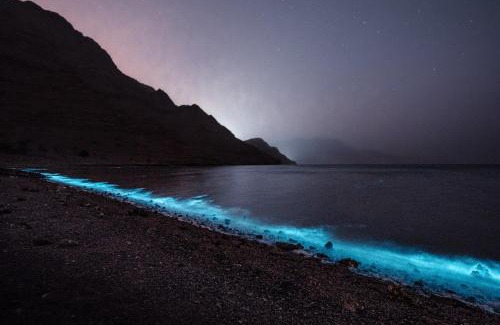 Musandam Governorate Other | Camp in the middle of islands