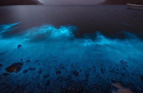 Musandam Governorate Other | Camp in the middle of islands