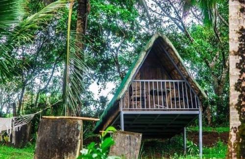Tanay Other | Camp Mayagay Tanay Rizal