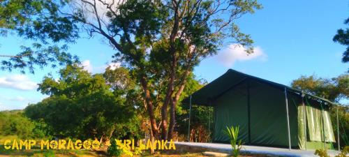 Polpithigama Other | Camp Moragoo