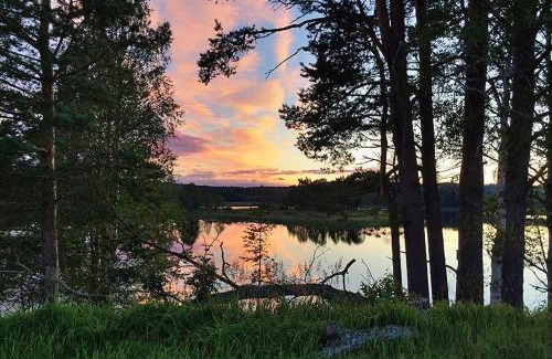 Hammerdal Other | Camp Route 45