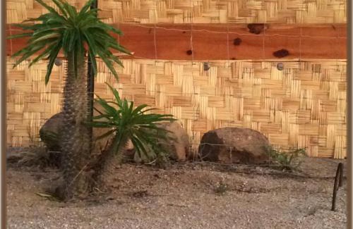 Todos Santos House | Camp - Santos Cabana Santino