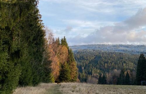 Zelezna Ruda Other | Camping Železná Ruda