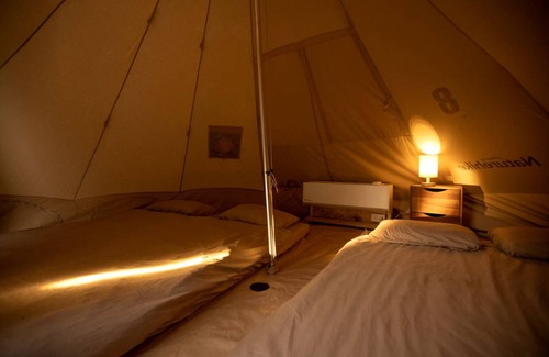 Dinh Quan Other | Camping ∙ 1 bedroom ∙ 4 guests
