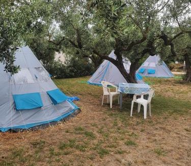 Marinella di Selinunte Other | camping a selinunte (Relax fra gli ulivi)