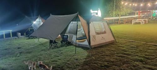 Kopeng Other | Camping Agrowisata Kopeng Gunungsari