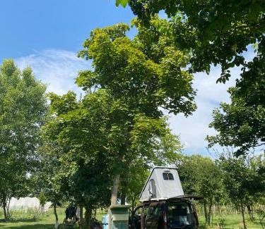 Ospedaletto di Pescantina Other | Camping Biologico La Buona Terra