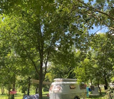 Ospedaletto di Pescantina Other | Camping Biologico La Buona Terra