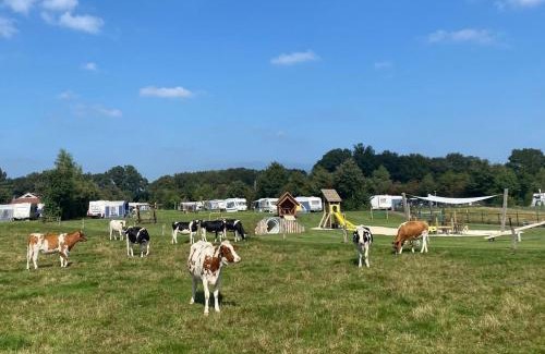Mander Other | Camping Dal van de Mosbeek
