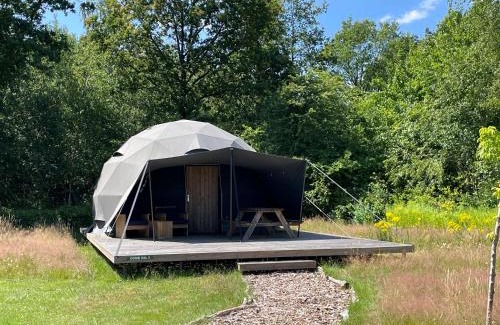 Hoogersmilde Other | Camping de Reeënwissel