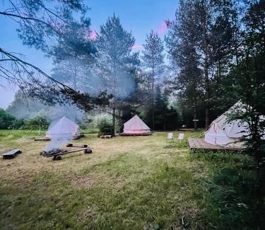 Przywidz Other | Camping Ekologiczny Koziołeczek