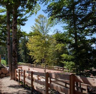 Folgaria Other | Camping Essenza Alpina