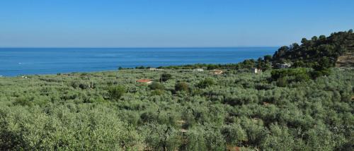 Mattinata Other | Camping Fontana delle Rose