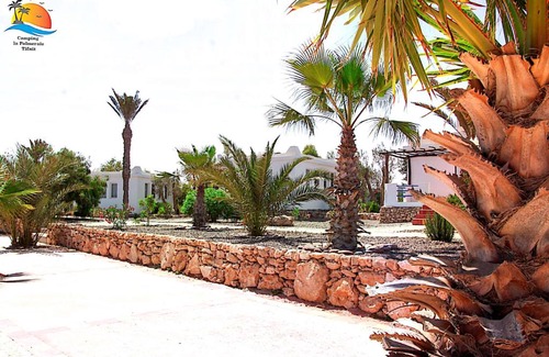 Sidi Bibi Other | Camping la palmeraie Tifnit