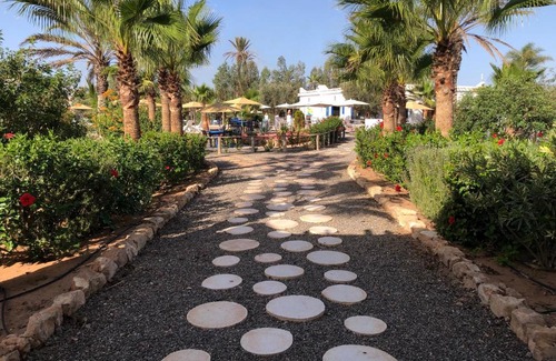 Sidi Bibi Other | Camping la palmeraie Tifnit