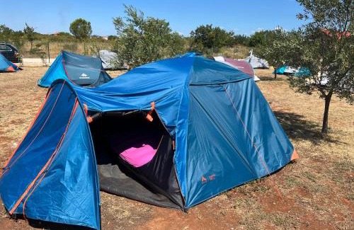 Zemunik Donji Other | CAMPING LASTE