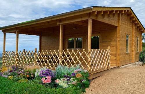 Vollore-Ville Other | Camping le Montbartoux