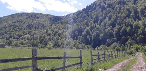 Tulnici Other | Camping Pentru Rulote, Auto Rulote, Corturi Personale La Barbosu in Lepsa, Vrancea