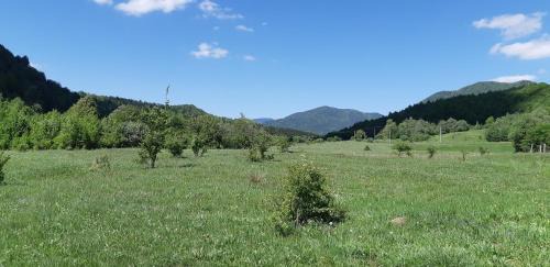 Tulnici Other | Camping Pentru Rulote, Auto Rulote, Corturi Personale La Barbosu in Lepsa, Vrancea