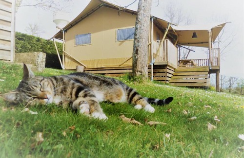 Cassagnabere-Tournas House | Camping Pré Fixe **** - Chalet Eco-nature 3 Rooms 4 People