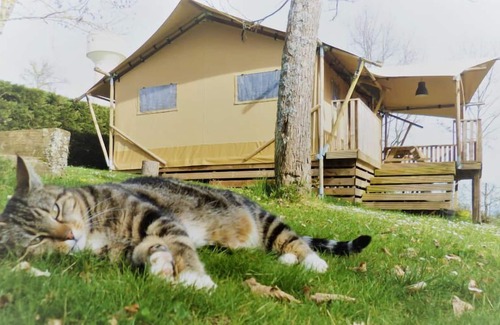 Cassagnabere-Tournas House | Camping Pré Fixe **** - Luxury Lodge 3 Rooms 5 People