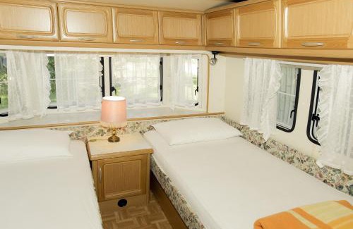 Arco Other | Camping Zoo