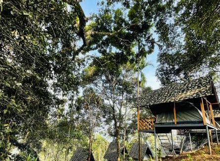 Devikolam Other | Camptop Munnar