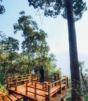 Devikolam Other | Camptop Munnar