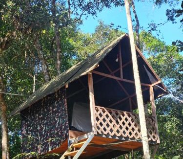 Devikolam Other | Camptop Munnar