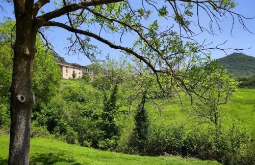 Vidra Apartment | Can Font de Ciuret, allotjament rural
